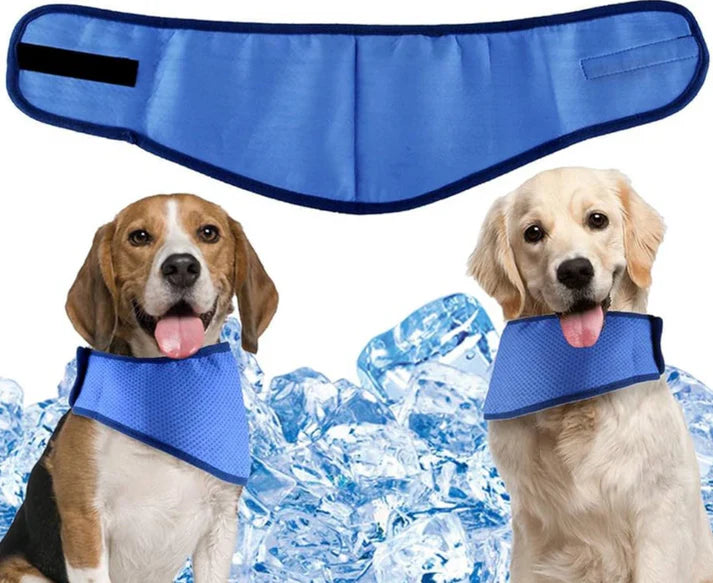 cooly - dog cooling bandana